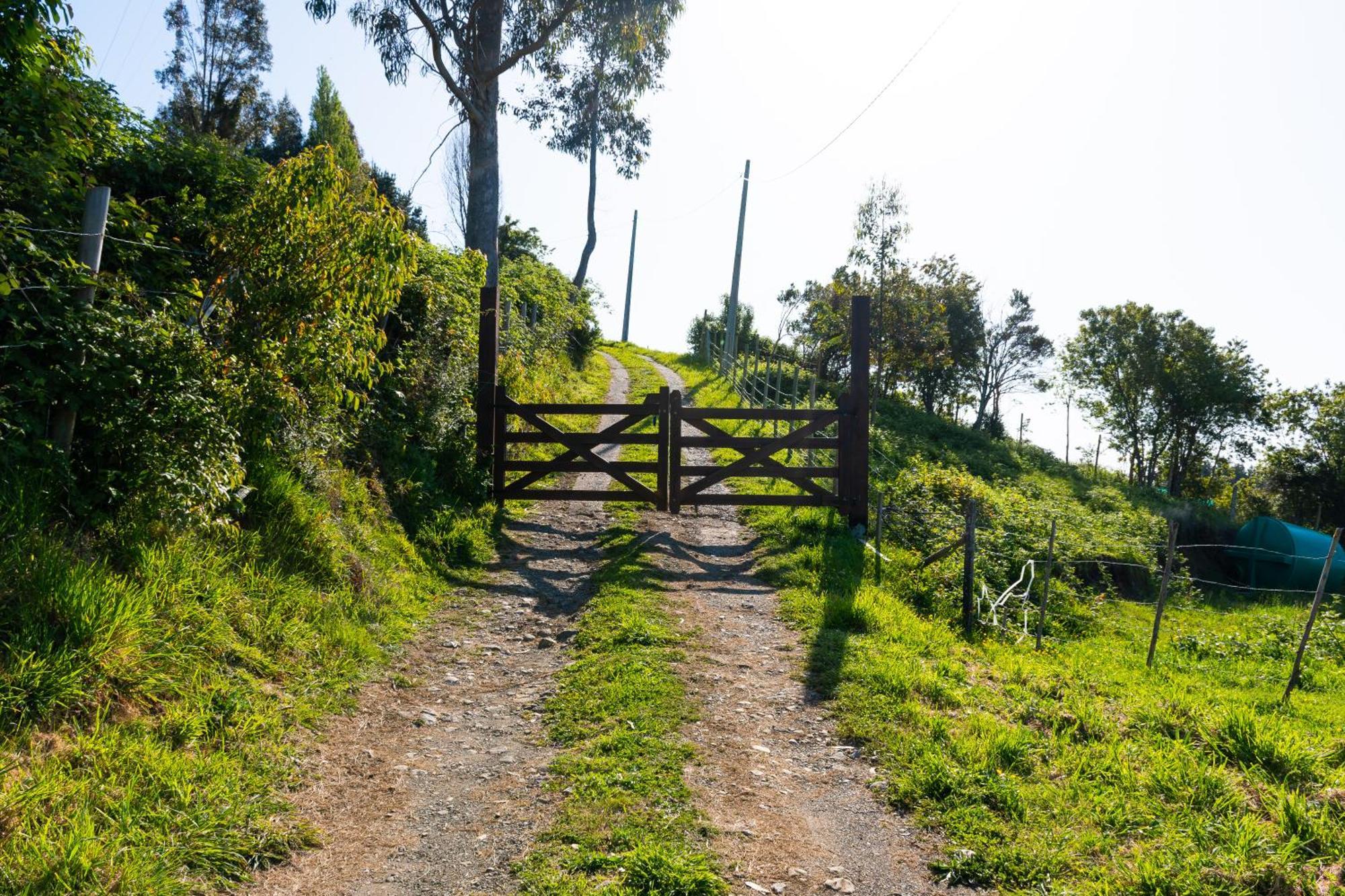 Cabanas Mirador Población Lago Ranco מראה חיצוני תמונה
